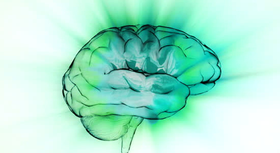 brain image on healthy water Green hue brain image filled with healthy water