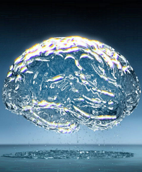 Water Brain Brain made of quantum water