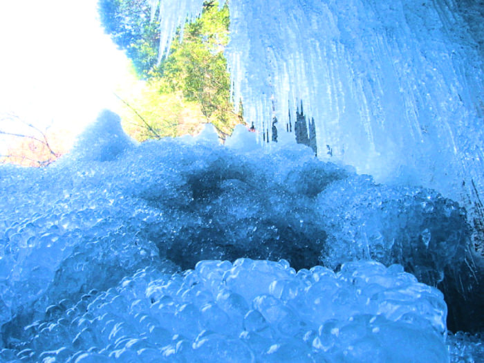 We are emulating nature with the Quantum WoLF water structuring device using quantum processes for water memory cleanse