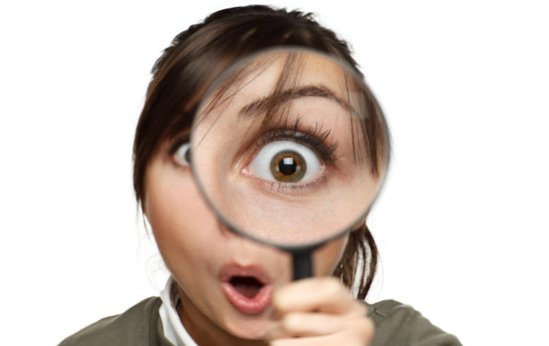 Privacy Policy details Looking into Privacy Policy