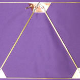 Violet Ray Transmission Antenna - Image 3